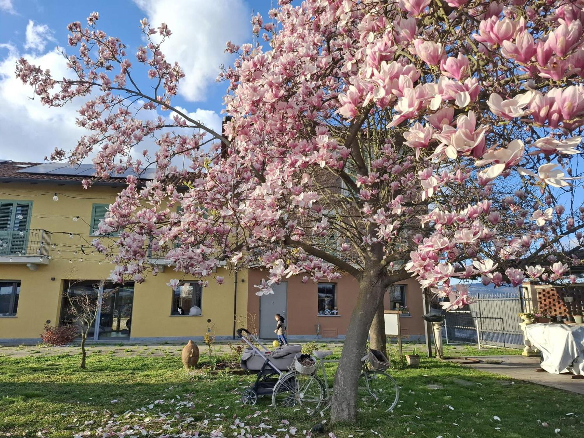 Villa Albina La Loggia Exterior foto